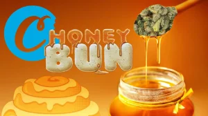 Read more about the article Honey Bun Strain: Effects, Benefits, Growing Information & Reviews
